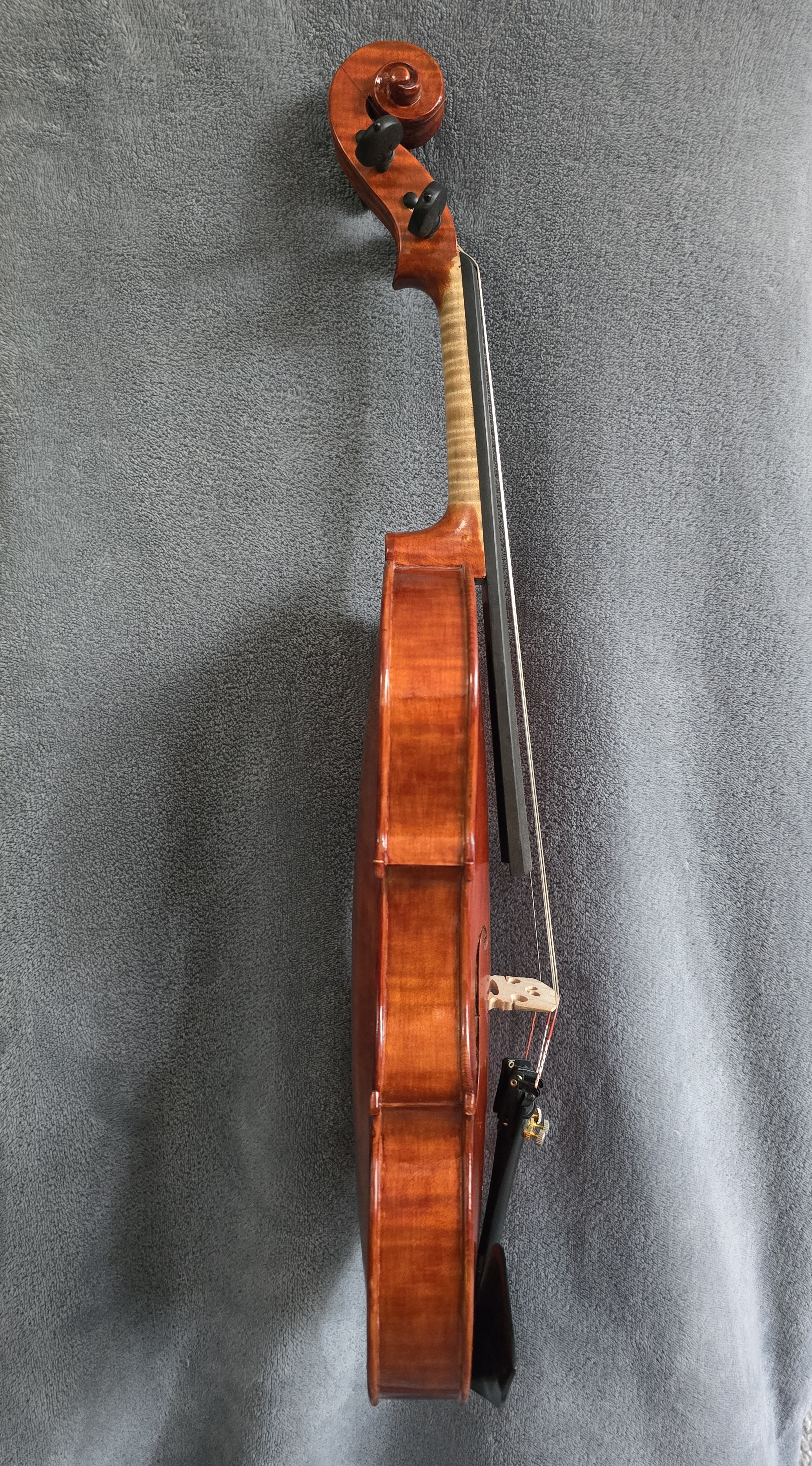 Photo of (2010) Violin "Nanan"