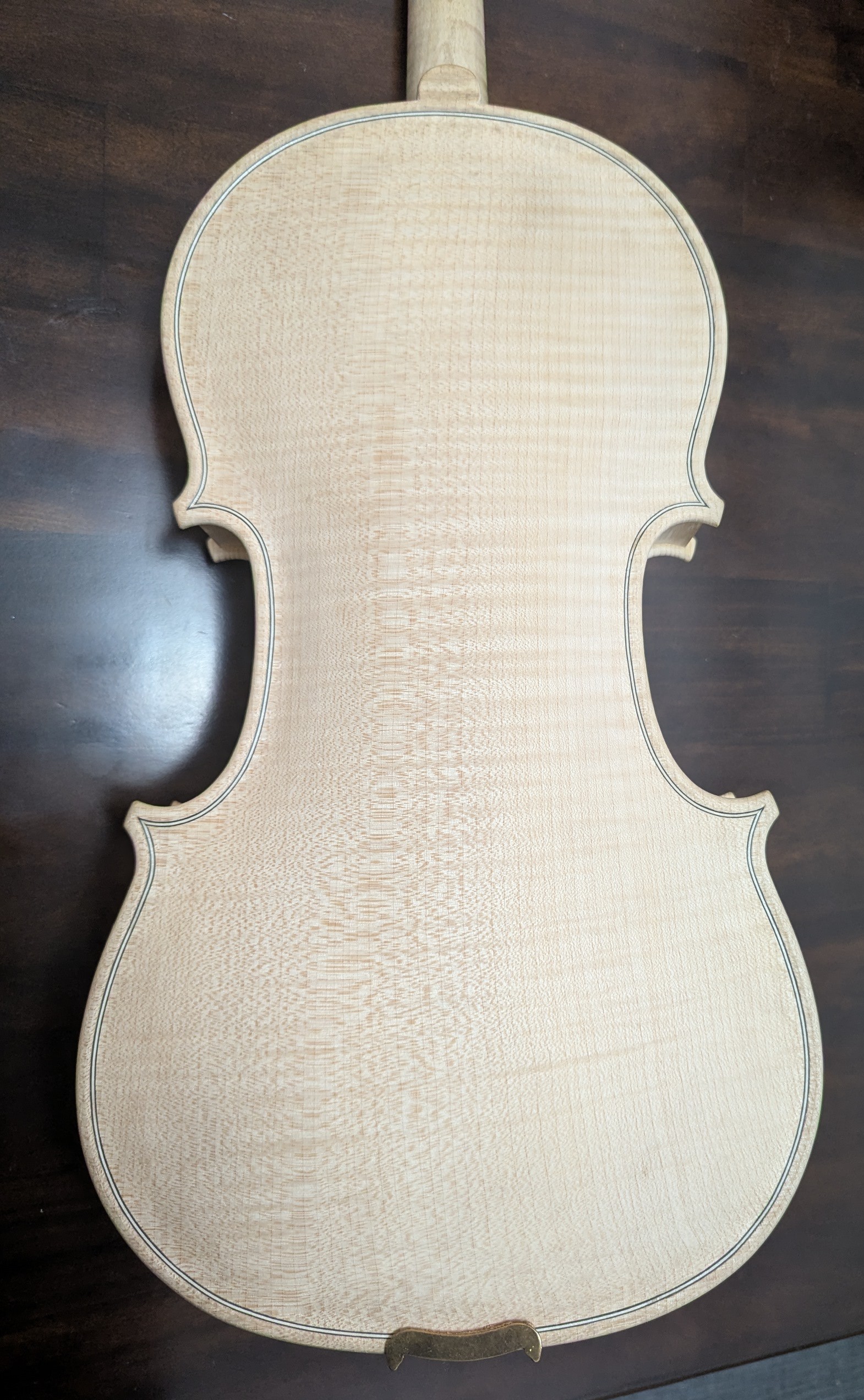 Photo of (2025) Viola "Quark"