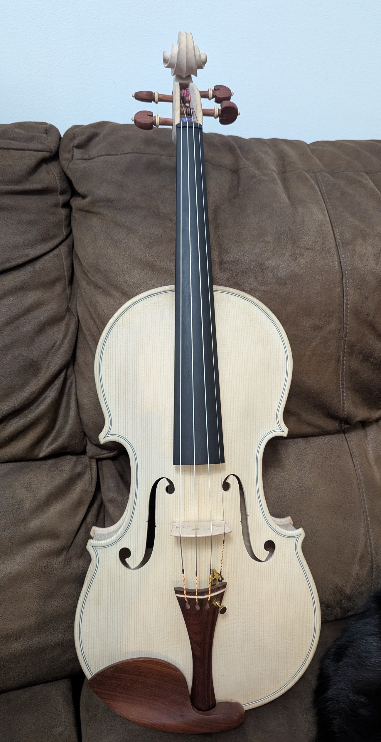 Photo of (2025) Viola "Quark"